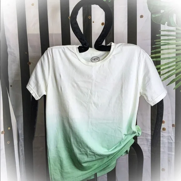 NWOT ORIGINAL PAPERBACKS MENS MINT GREEN OMBRÉ RELAXED TEE SIZE SMALL - Picture 1 of 5